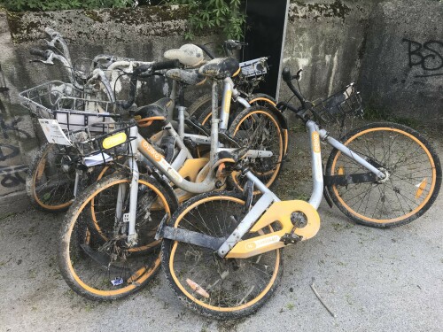 aus-der-isar-gefischter-obikehaufen-in-nahe-des-deutschen-museums-munchen-nah.jpg