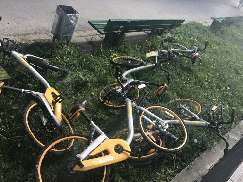 obikehaufen-in-isarnahe-munchen.jpg