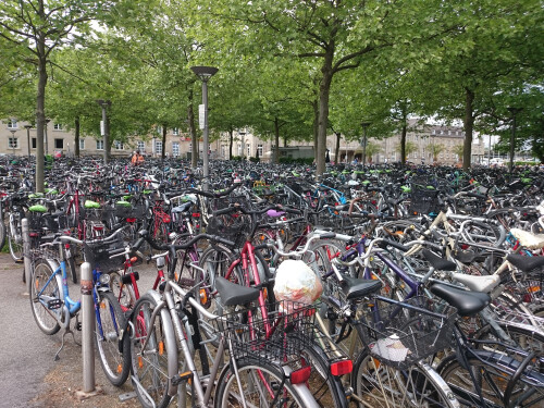 Parkende Fahrräder vor dem Göttinger Hbf.