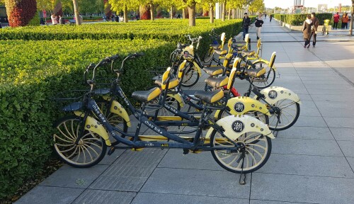 peking-tandem-sharing.jpg
