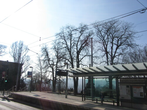 eugensplatz-5.jpg