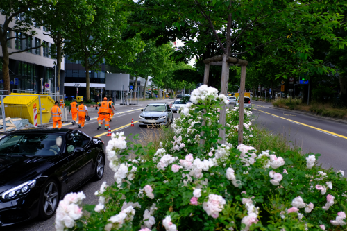 theo-stuttgart-pop-up-radweg.png
