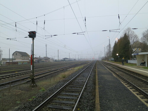 morgenstimmung-kranichstein-bf.jpg