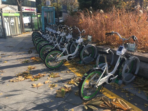 bikesharing-korea-seoul.jpg