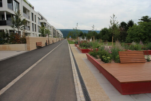 heidelberg-bahnstadt-grunachse-blickrichtung-stadtmitte.jpg