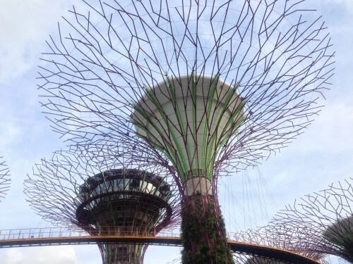 park-singapur.jpg