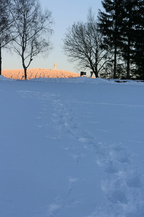 diese-spuren-im-schnee.jpg