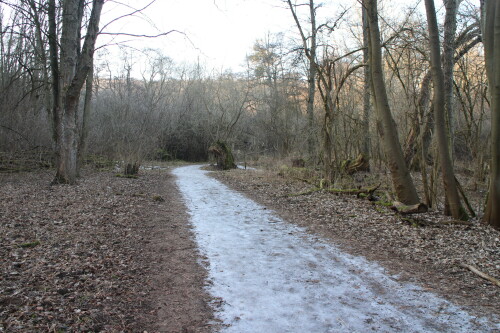 warum-asphalt-fur-alltagsradrouten.jpg
