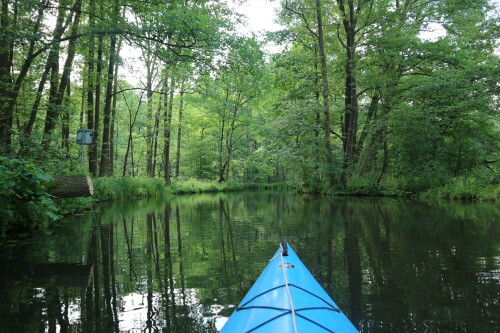 wasserwandern.jpg