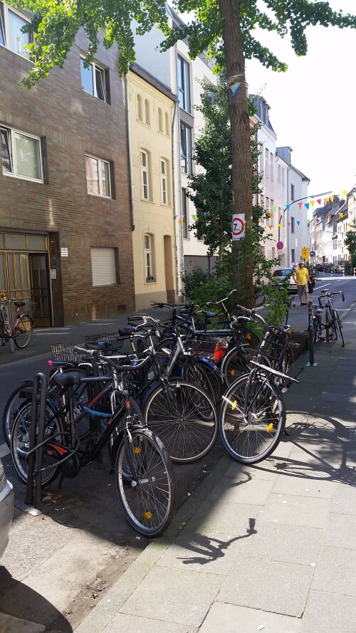 intensive-nutzung-von-fahrradstandern-im-offentlichen-strassenraum.jpg