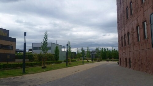 blick-auf-die-museumlaan-neben-dem-balengebouw-in-enschede-roombeek-nl.jpg