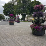 blumenschmuck-auf-dem-bahnhofsvorplatz-in-schwerte