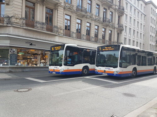 busse-in-wiesbaden.jpg