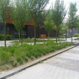 ein-verkehrsberuhigter-bereich-mit-grunelementen-in-enschede-roombeek-nl