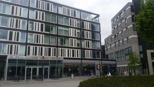 gebaude-mit-mischnutzung-erdgeschossnutzung-durch-discounter-in-enschede-roombeek-nl.jpg