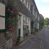 reihenhaus-in-der-margarethenhohe-in-essen