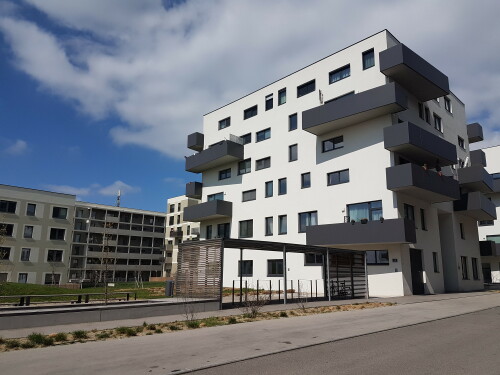 die-ilse-arlt-strasse-in-der-wiener-seestadt-aspern1.jpg