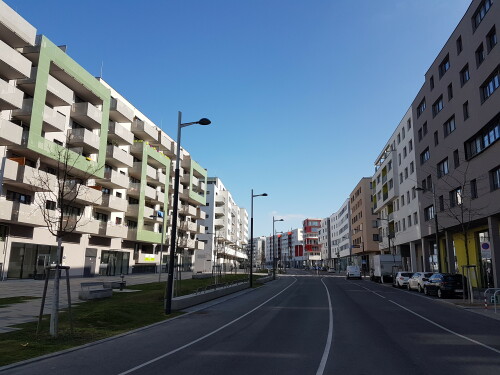 die-sonnenallee-in-der-wiener-seestadt-aspern.jpg