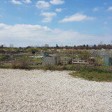 erweiterung-des-gemeinschaftsgartens-in-der-seestadt-aspern-in-wien-als-zwischennutzung