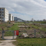 gemeinschaftsgarten-im-madame-dora-park-in-der-seestadt-aspern2