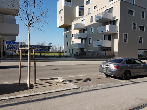 Zur Gewährleistung der Sichtbarkeit von querenden Fußgängern sind vorgezogene Gehwegnasen installiert. Dies ermöglicht das Queren der Straße ohne sich wenig sichtbar zwischen parkenden Fahrzeugen hindurchquetschen zu müssen.