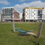 hangematte-und-slackline-im-hannah-arendt-park