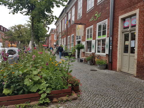 Das Holländische Viertel ist ein im Zentrum Potsdams gelegenes Stadtviertel, das zwischen 1733 und 1742 im Zuge der zweiten Stadterweiterung unter Leitung des holländischen Baumeisters Johann Boumann erbaut wurde. Das Viertel besteht aus 134 Ziegelstein-Häusern, die durch die Mittel- und Benkertstraße in vier Karrees nach dem Konzept eines barocken Stadtgrundrisses aufgeteilt werden. Es gilt als größtes zusammenstehendes holländisches Bauensemble und Kulturdenkmal holländischen Stils außerhalb der Niederlande in Europa.