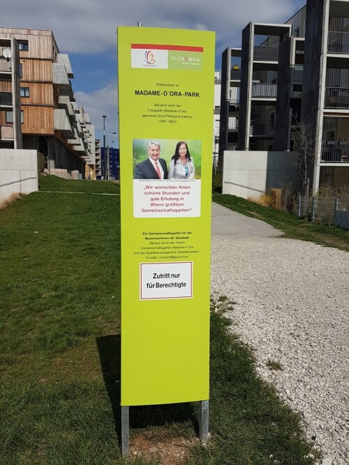 Der Gemeinschaftsgarten im Madame d'Ora Park in der Seestadt Aspern in Wien ist der größte Gemeinschaftsgarten der österreichischen Hauptstadt. Er wurde 2015 vom Stadtteilmanagement initiiert und seit Frühjahr 2016 bewirtschaftet. Aufgrund der hohen Nachfrage existiert eine Warteliste, zudem wurden zusätzliche Flächen ausgewiesen.