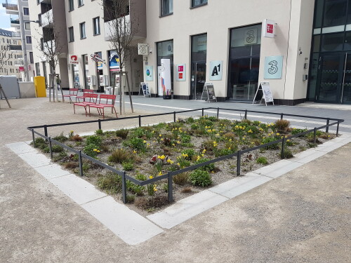Eines von vielen Pflanzbeeten in der Seestadt Aspern. Diese und ähnliche Elemente durchziehen den gesamten öffentlichen Raum. Das Planungshandbuch für den öffentlichen Raum, eine Art "Partitur des öffentlichen Raums“ wurde von den dänischen Freiraumplaner Gehl Architects erarbeitet.

Die Seestadt Aspern ist eines der größten Stadtentwicklungsprojekte Europas der 2010er Jahre. Über einen Zeitraum von rund 20 Jahren soll ein neuer Stadtteil entstehen, in dem über 20.000 Menschen wohnen und arbeiten sollen. Die erste von drei Entwicklungsetappen konzentriert sich auf den Süden des Stadtteils und soll 2020 abgeschlossen sein.