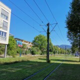 tramachse-mit-rasengleis-in-freiburg-vauban