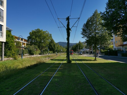 vaubanallee-in-freiburg-vauban.jpg