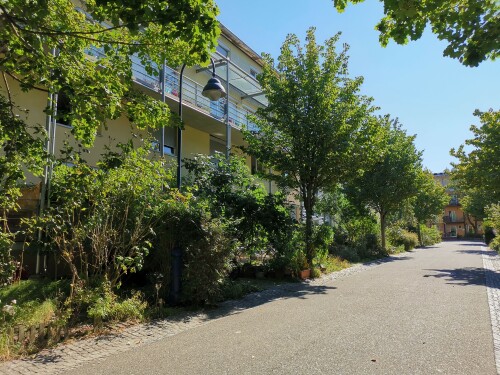 Das Quartier Vauban ist ein teilweise autofreier Stadtteil in Freiburg im Breisgau. Die Gebäude und Quartiersstruktur sind auf ökologische Nachhaltigkeit hin ausgerichtet. Dies gilt insbesondere für die Bereiche Strom / Wärme, Regenwasserbewirtschaftung und Verkehr.

Die Wohnstraßen in Freiburg-Vauban sind alle verkehrsberuhigte Bereiche, in denen es nur wenige öffentliche Parkplätze gibt. Durch Verzicht auf Stellplätze im Quartier sind die meisten öffentlichen Wohnstraßen für kinderfreundliche Freizeitaktivitäten nutzbar und bieten so zusammen mit den zahlreichen Grünspangen eine besondere urbane Lebensqualität.

Stellplätze können für rund 18.000 Euro in zwei Parkhäusern am Rande des Stadtteils erworben werden. Vor dem Haus darf ein genutztes Auto nur kurz zum Be- und Entladen abgestellt werden.