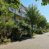 wohnstrasse-in-freiburg-vauban