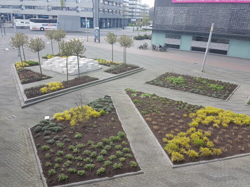 grune-scholle-in-rotterdam.jpg