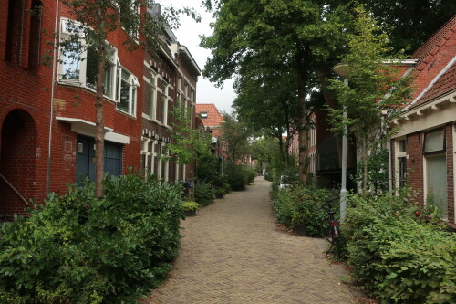 Idyllischer Wohnweg in Groningen mit dichtem Bewuchs.

Grote Appelstraat.