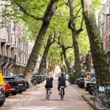 lomanstraat-amsterdam-strassenbaume