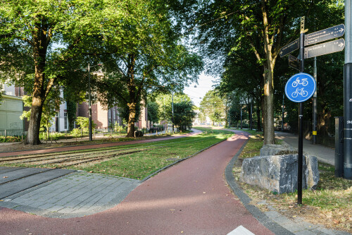 plantage-middenlaan-amsterdam.jpg