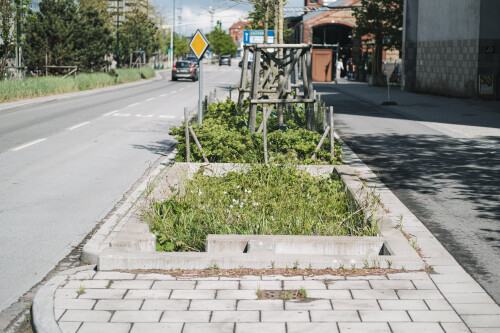 Versickerungsmulde in Malmö, Schweden