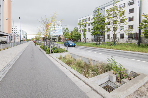versickerungsmulde-malmo.jpg