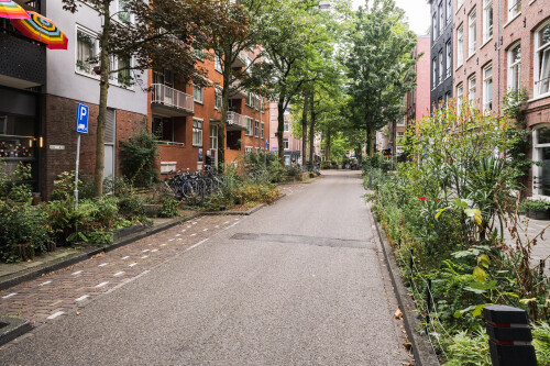 wohnstrasse-de-pijp-quartier-amsterdam.jpg