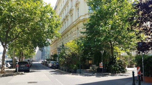 berggasse.jpg
