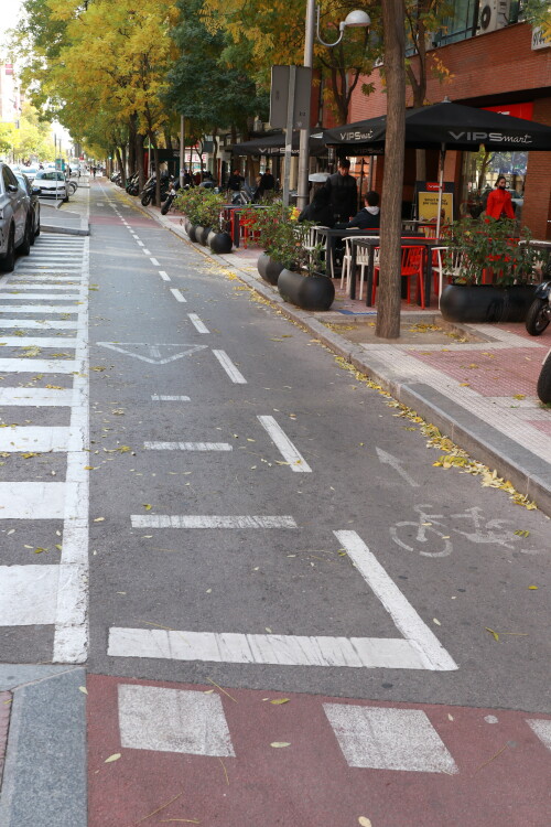 Bike lane (Madrid)