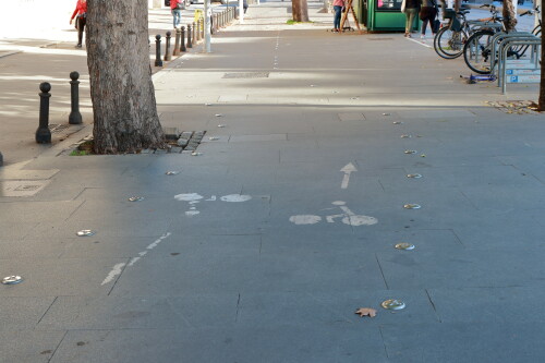 Bike lane (Sevilla)
