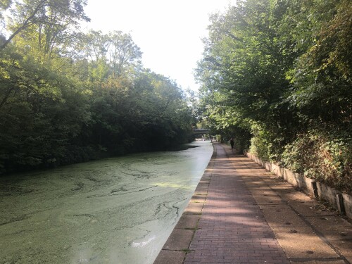 Greenway am Kanal