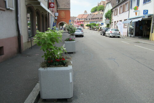 Blumenkubel-Verkehrsberuhigung_Freiburg.jpeg