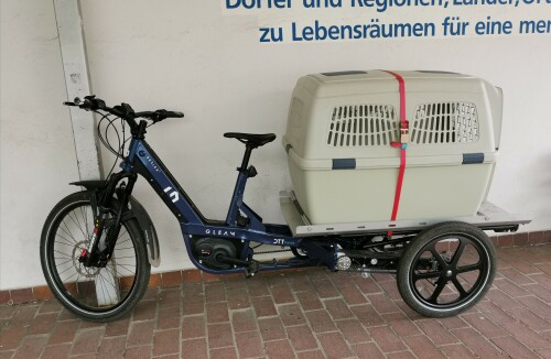 lastenrad_mit_hundetransportbox.jpeg