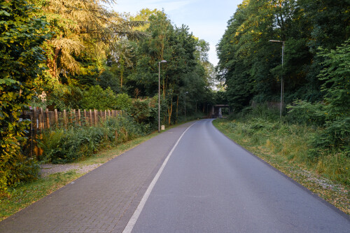 DSCF8649.jpg