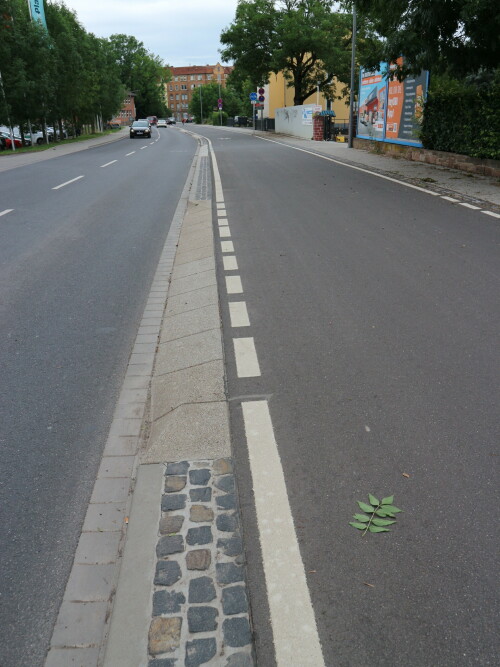 IMG_5180_Zweirichtungsradweg_Hafenstrasse_Kassel_Rampensteine_BildDirk_Schmidt_07_2023.jpg