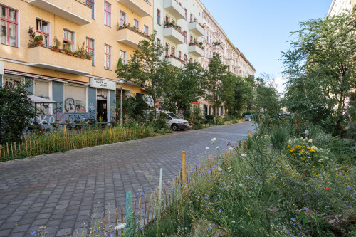 DSCF9185.jpg