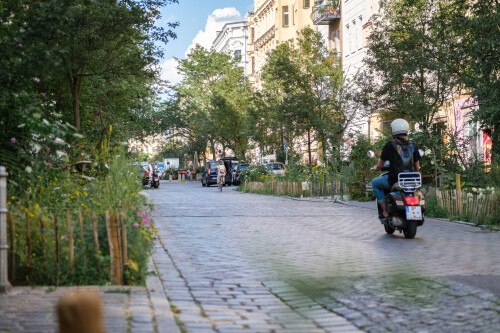 DSCF9199.jpg